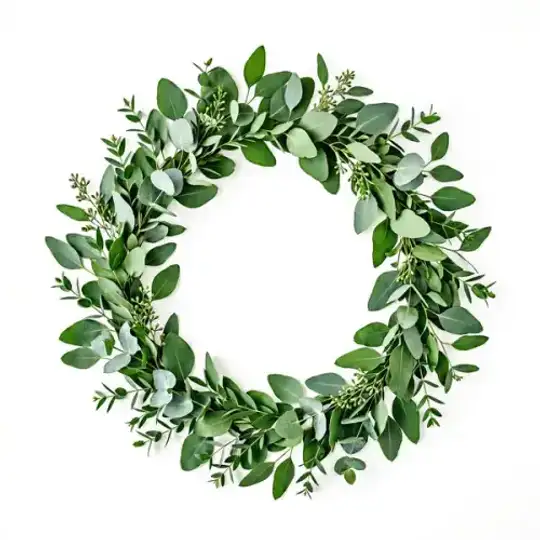 Desintoxicacion profunda del cuerpo